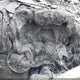 5XYKT3A60FG599151 2015 Kia Sorento Lx auction photo thumbnail 7