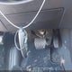1N4BL4DV2SN389197 2025 Nissan Altima Sv Fwd auction photo thumbnail 11