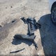 4T1BF1FKXFU054098 2015 Toyota Camry Se auction photo thumbnail 12