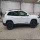 1C4PJMLB4LD584156 2020 Jeep Cherokee Altitude 4X4 auction photo thumbnail 13