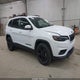 1C4PJMLB4LD584156 2020 Jeep Cherokee Altitude 4X4 auction photo thumbnail 1