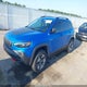 1C4PJMBX1KD473057 2019 Jeep Cherokee Trailhawk 4X4 auction photo thumbnail 2