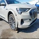WA1VAAGE1KB024223 2019 Audi E-Tron Premium Plus auction photo thumbnail 6