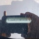 SJAAM2ZV2MC033879 2021 Bentley Bentayga V8 auction photo thumbnail 12
