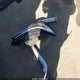 KMHLR4DF4RU812251 2024 Hyundai Elantra N Line auction photo thumbnail 12