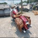 56KCCVAA4F3328063 2015 Indian Motorcycle Co. Chief Vintage auction photo thumbnail 3