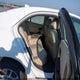 1G11C5SA2DU102082 2013 Chevrolet Malibu 1Lt auction photo thumbnail 8