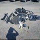 JF2SLDAC6SH477828 2025 Subaru Forester auction photo thumbnail 12