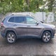 1C4PJMDN1KD149179 2019 Jeep Cherokee Limited 4X4 auction photo thumbnail 13