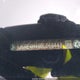 5J6RE4H46BL066443 2011 Honda Cr-V Se auction photo thumbnail 17