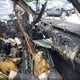 SALGS2SV5KA543296 2019 Land Rover Range Rover 3.0L V6 Supercharged Hse auction photo thumbnail 5