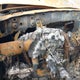 JTEBU14R240044076 2004 Toyota 4Runner Sr5 V6 auction photo thumbnail 7