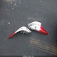 1N4AL3AP3HC200654 2017 Nissan Altima 2.5 Sl auction photo thumbnail 12