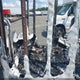 4X4TSE6253N038385 2003 Cargo Trailer auction photo thumbnail 5