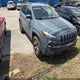 1C4PJMBS2EW161276 2014 Jeep Cherokee Trailhawk auction photo thumbnail 1