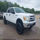 1FTFW1EF2DFB68365 2013 Ford F-150 Xlt auction photo thumbnail 1