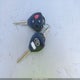 JTMZD33V576050842 2007 Toyota Rav4 auction photo thumbnail 11