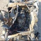 1FATP8UH2K5186109 2019 Ford Mustang Ecoboost auction photo thumbnail 10