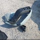 1C4PJXEG1RW238315 2024 Jeep Wrangler 4-Door Sahara 4X4 auction photo thumbnail 12