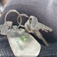 1XPCDB9X8PD329219 1993 Peterbilt 377 auction photo thumbnail 11