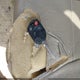 2FMDK48C98BA94645 2008 Ford Edge Sel auction photo thumbnail 11
