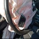 19UDE4H3XPA008864 2023 Acura Integra A-Spec auction photo thumbnail 11