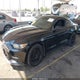 1FA6P8TH6F5425892 2015 Ford Mustang Ecoboost auction photo thumbnail 2