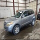 5NMSG73D97H068240 2007 Hyundai Santa Fe Gls auction photo thumbnail 2