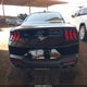 1FA6P8TH2R5145584 2024 Ford Mustang Ecoboost Fastback auction photo thumbnail 15