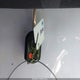 NM0LS7F73E1165978 2014 Ford Transit Connect Xlt auction photo thumbnail 11
