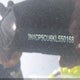 3N1CP5CU6KL550168 2019 Nissan Kicks Sv auction photo thumbnail 16