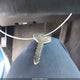 3B7HC13Y2WG194956 1998 Dodge Ram 1500 St auction photo thumbnail 11