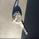 1GNKVGED2CJ157694 2012 Chevrolet Traverse 1Lt auction photo thumbnail 11