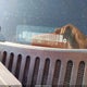 1GCEK19B85E170983 2005 Chevrolet Silverado 1500 Z71 auction photo thumbnail 9