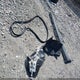 MAJ3S2FEXKC268180 2019 Ford Ecosport S auction photo thumbnail 11