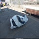 JTDBT903181191173 2008 Toyota Yaris S auction photo thumbnail 11