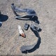 2T1KU40E39C061703 2009 Toyota Matrix auction photo thumbnail 12