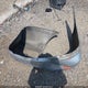 19UUA56653A057530 2003 Acura Tl 3.2 auction photo thumbnail 12
