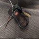 1D7HG42N84S622649 2004 Dodge Dakota Slt auction photo thumbnail 11