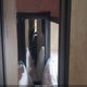 4YDT29B208V506434 2008 Keystone Couger 2 auction photo thumbnail 13
