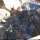 1C4PJMBX3LD509445 2020 Jeep Cherokee auction photo thumbnail 5