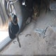 5TETU62N68Z550702 2008 Toyota Tacoma Prerunner V6 auction photo thumbnail 11