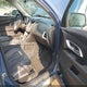 2CNALDEC7B6353265 2011 Chevrolet Equinox 1Lt auction photo thumbnail 5