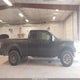 1FTFX1EV5AFA13986 2010 Ford F-150 Fx4/Lariat/Xl/Xlt auction photo thumbnail 13