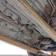 1FALP52U5VG239781 1997 Ford Taurus Gl auction photo thumbnail 6
