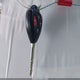 2T1BU4EE8AC517353 2010 Toyota Corolla Le auction photo thumbnail 11