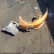 JHMGE8H49AC018355 2010 Honda Fit Sport auction photo thumbnail 11
