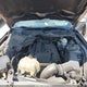 1FA6P8TH8J5179081 2018 Ford Mustang Ecoboost auction photo thumbnail 10