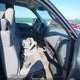 1FTPX14585KC36686 2005 Ford F-150 Fx4/Lariat/Xl/Xlt auction photo thumbnail 5