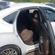1G1125S34FU123720 2015 Chevrolet Impala 2Lt auction photo thumbnail 8